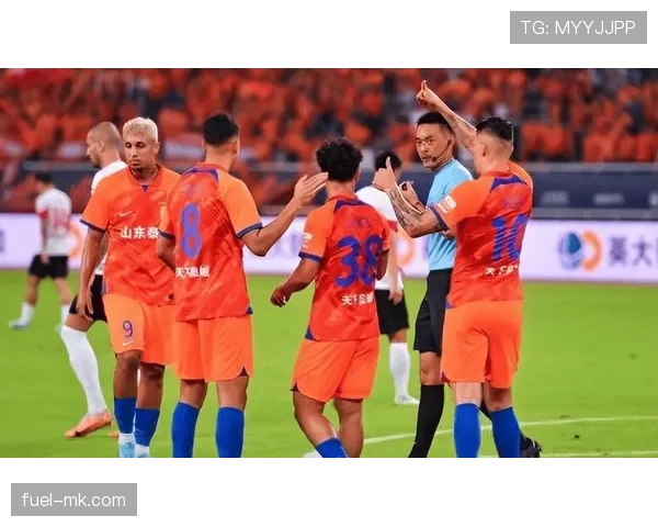 南美洲顶级联赛新赛季阵容大揭秘：多支劲旅补强引关注