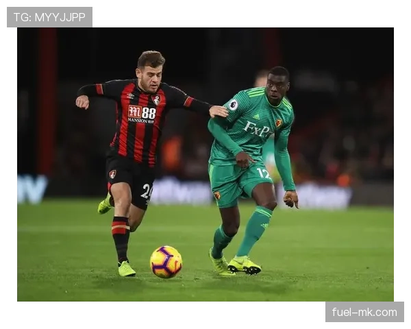 伯恩茅斯球迷抗议升级,呼吁俱乐部全面改善观赛体验 伯恩茅斯球迷抗议升级,呼吁俱乐部全面改善观赛体验