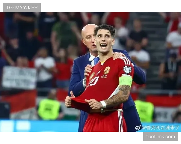 匈牙利罗西主帅 匈牙利罗西主帅