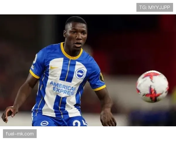 凯塞多战术适应性解析